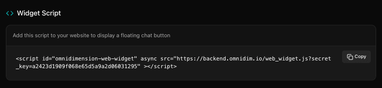 Copy script UI